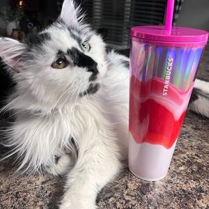 Starbucks Pink and Red Tumbler